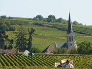 Gwenaëlle et Christophe PAUCHARD