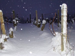 cirey sous la neige 18 12 2009 026